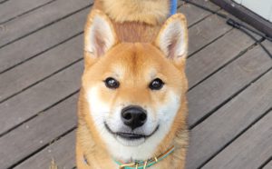 北斗